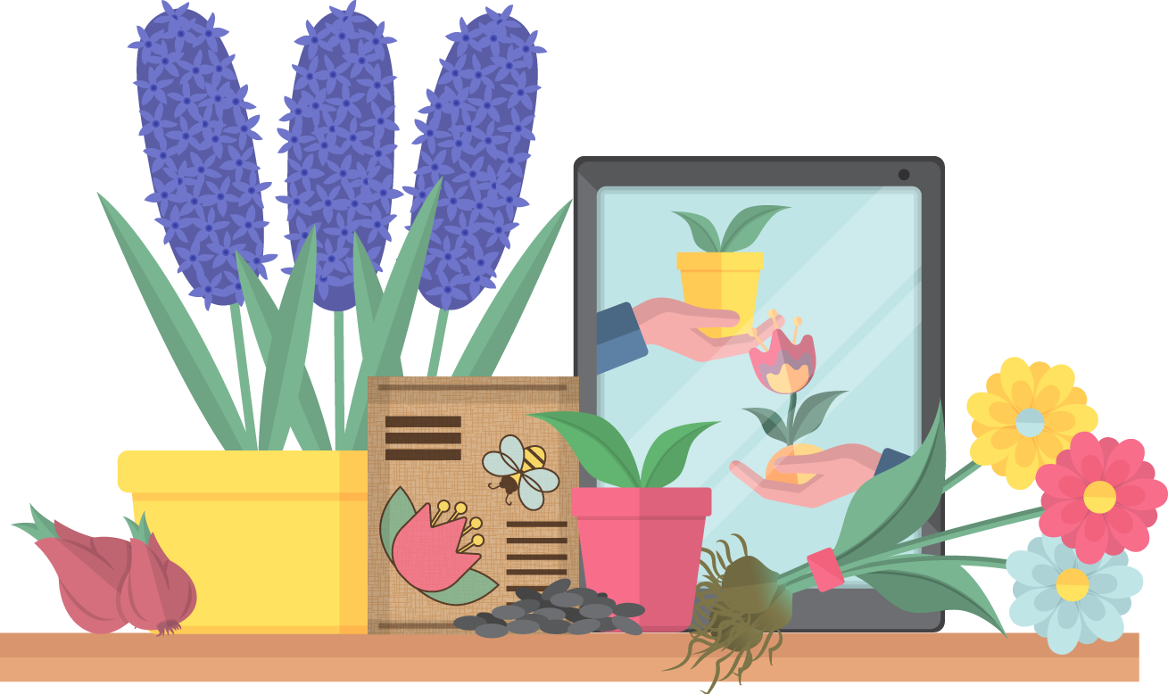Flower swap illustration